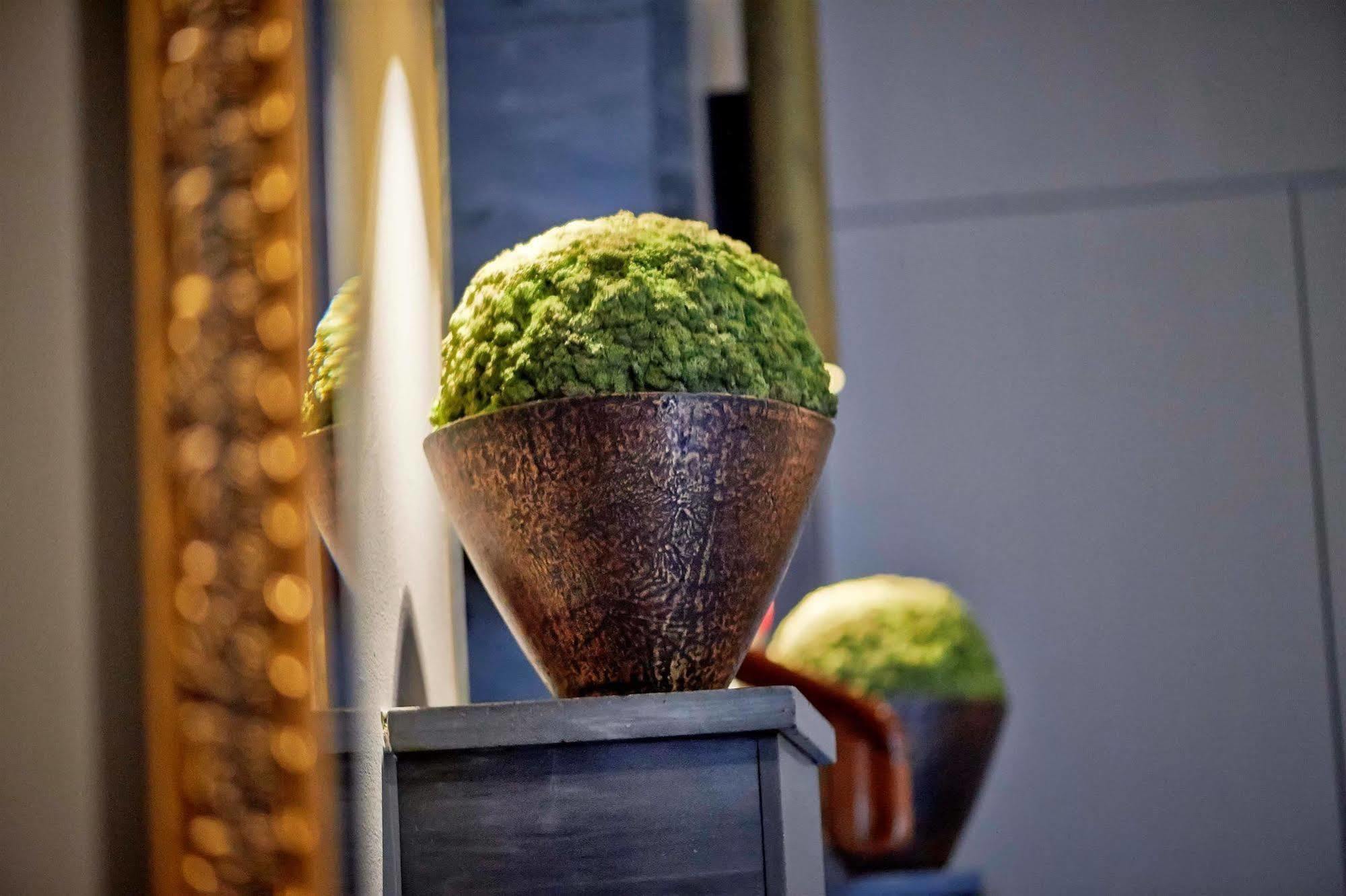 Boutique Hotel Seidenhof Zürich Eksteriør billede